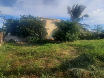 Prime Land in Coromandel for sale