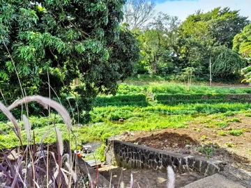 Residential Land